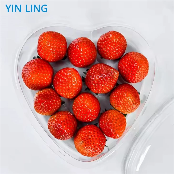Heart Shaped Fruit Plastic Container suppliers